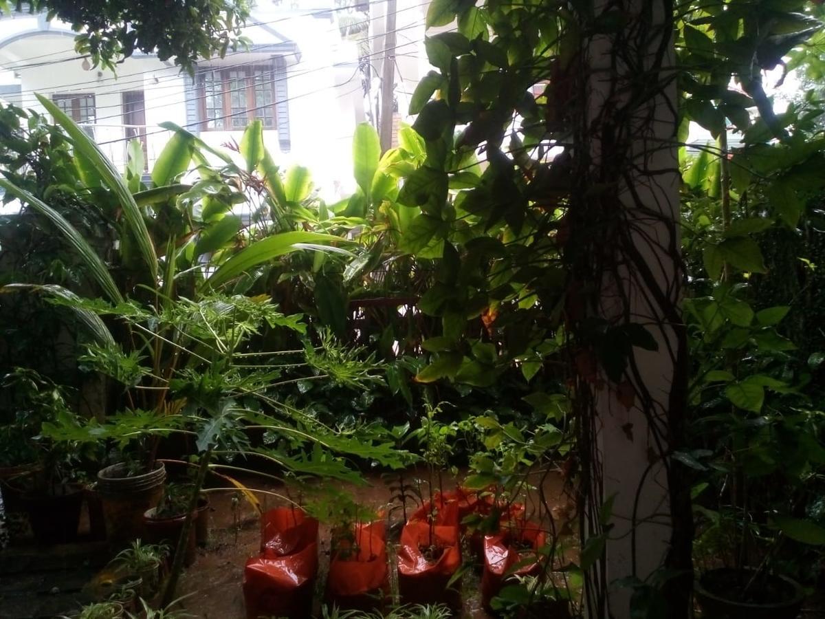 Nathans Holiday Home Kochi Exterior photo