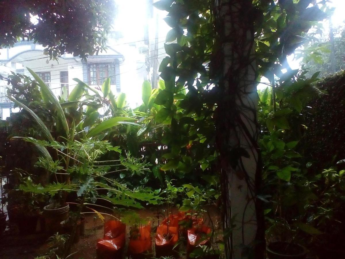 Nathans Holiday Home Kochi Exterior photo